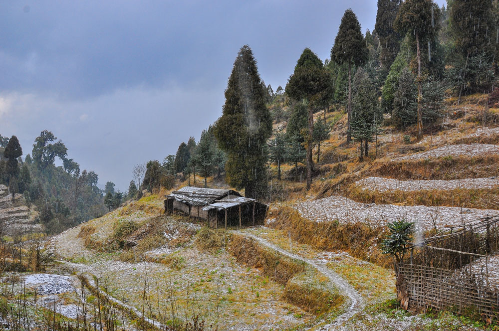 Darjeeling Dhotrey in winter
