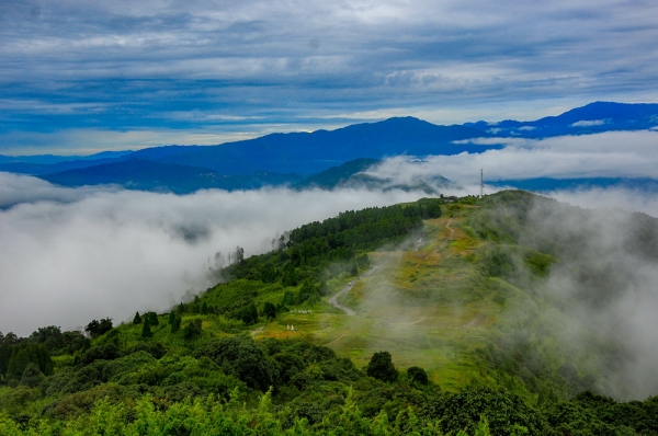 Darjeeling tigerhill in spring